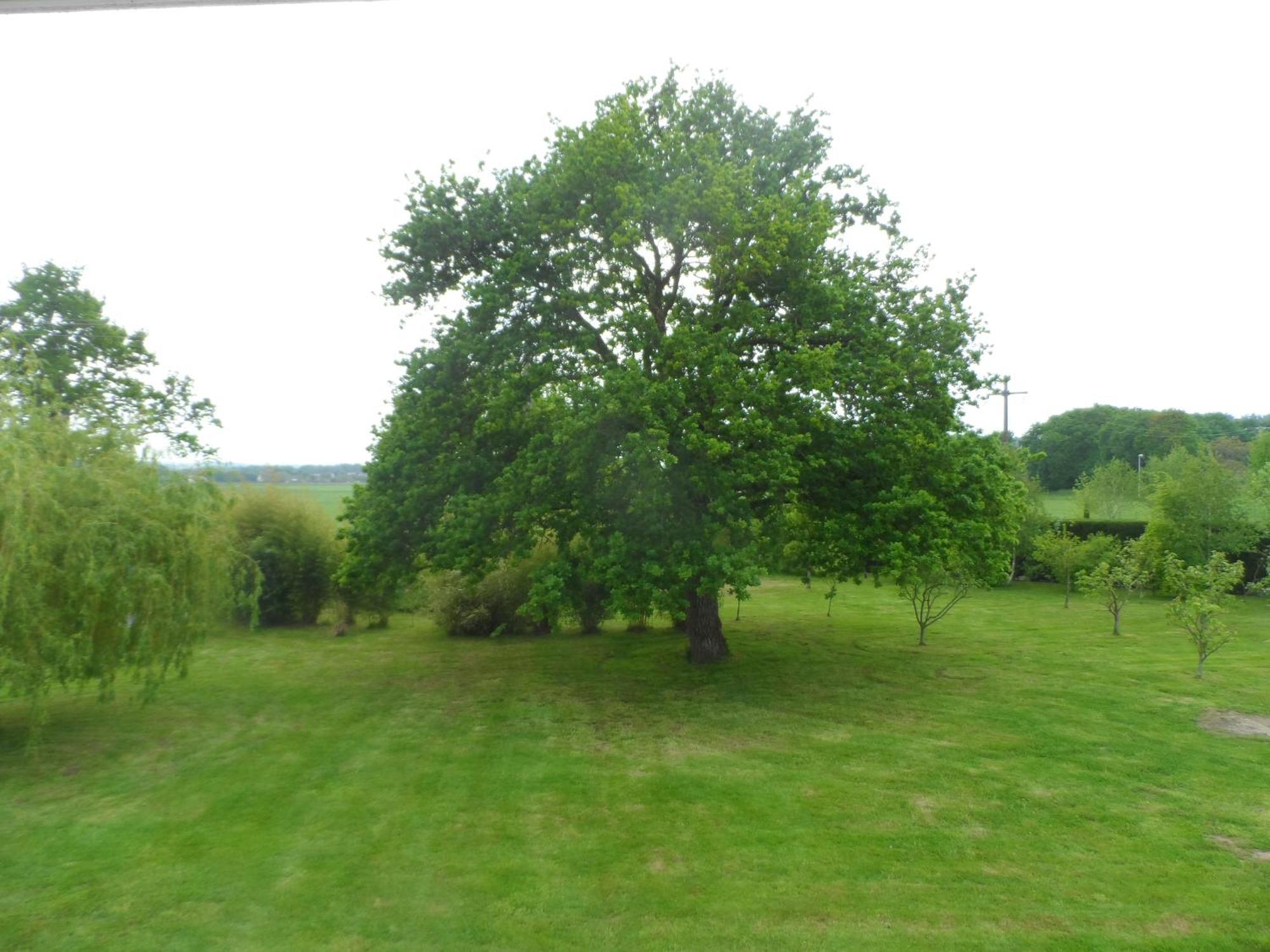 Cafecouet'Breizh Bed & Breakfast Guipry-Messac Cameră foto
